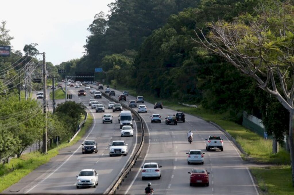 Ações online marcam a Semana Nacional do Trânsito em Santa Catarina