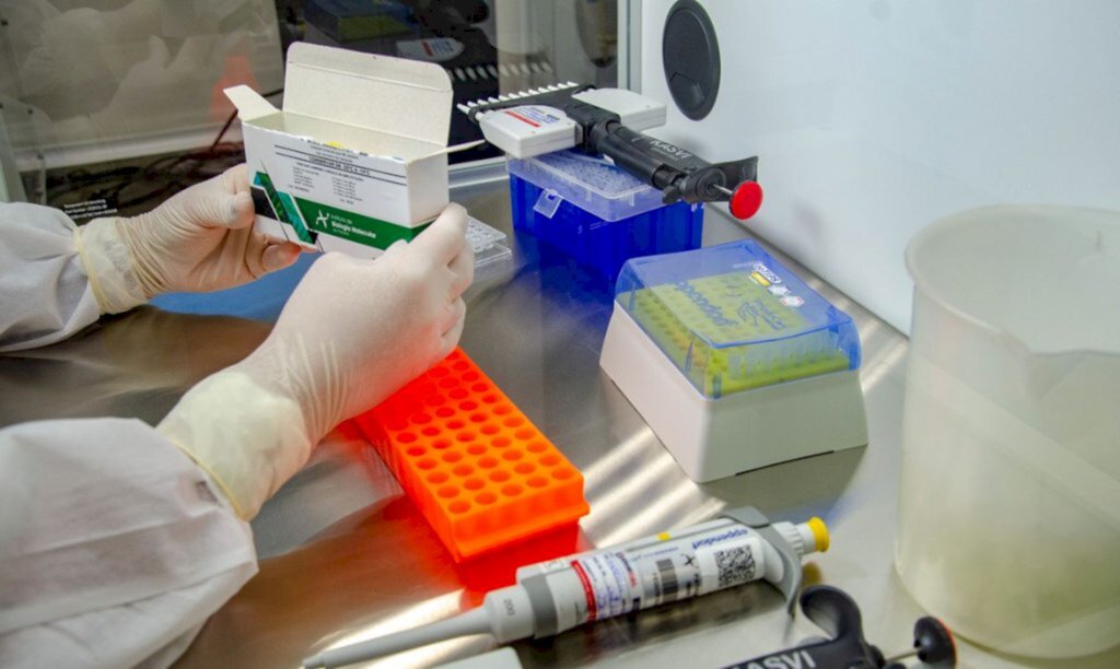 Brasil acumula 4,55 milhões de casos e 137,2 mil mortes por covid-19