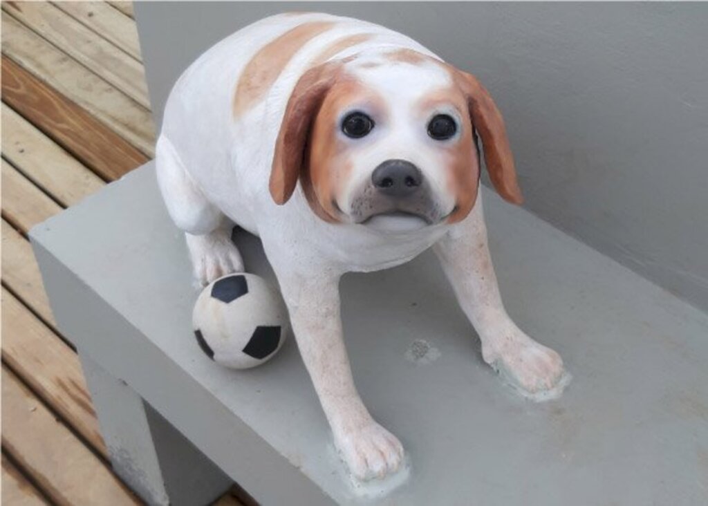 Florianópolis inaugura primeira escultura brasileira em homenagem a um cãozinho