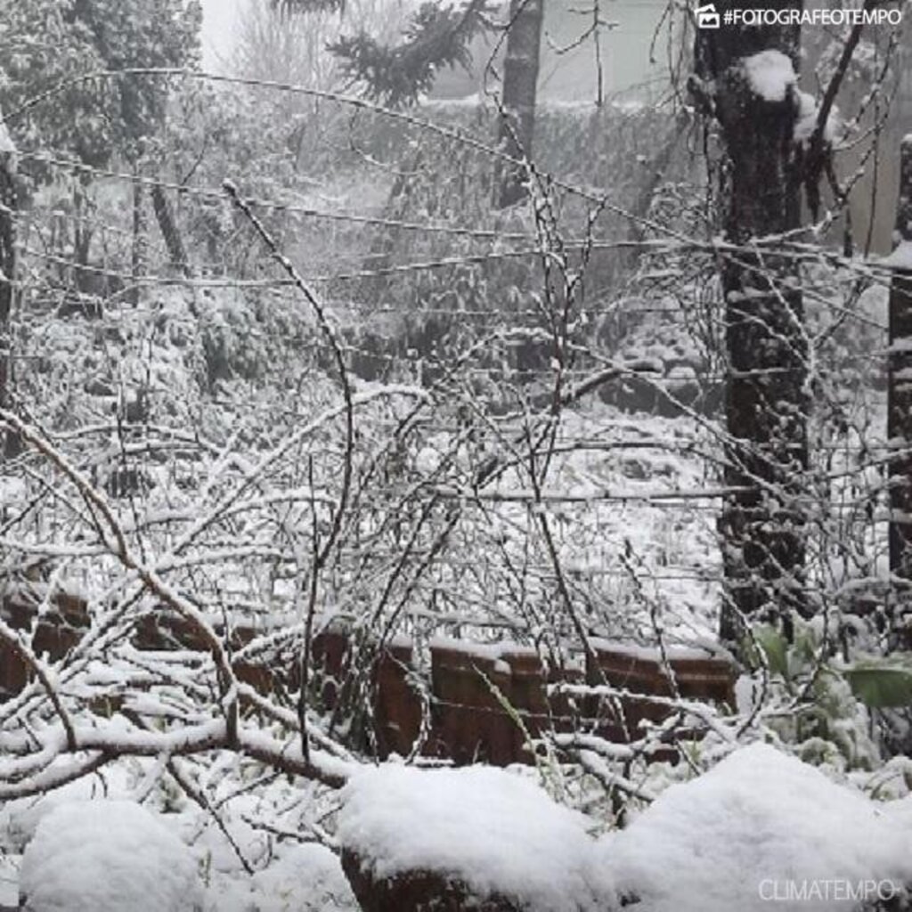 Neve em Santa Catarina: saiba como assistir ao fenômeno ao vivo, pela internet