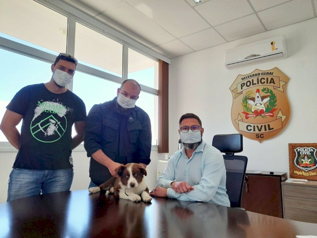 Novo 'integrante' da Polícia Civil é o cão Charles