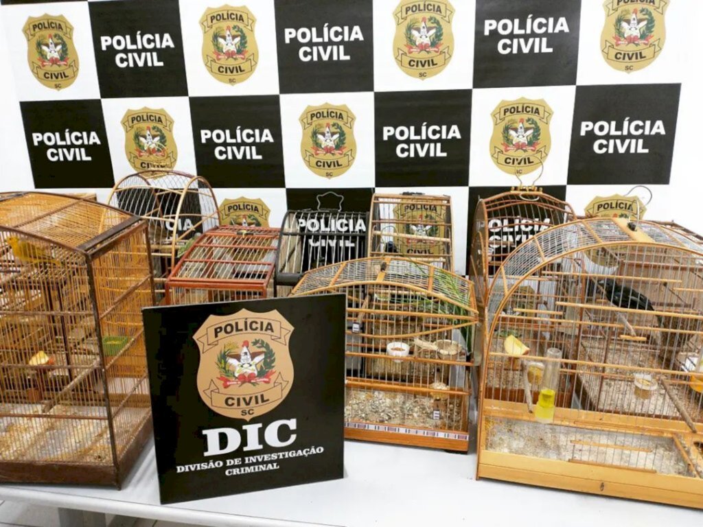 Polícia apreende aves da fauna silvestre em Joinville