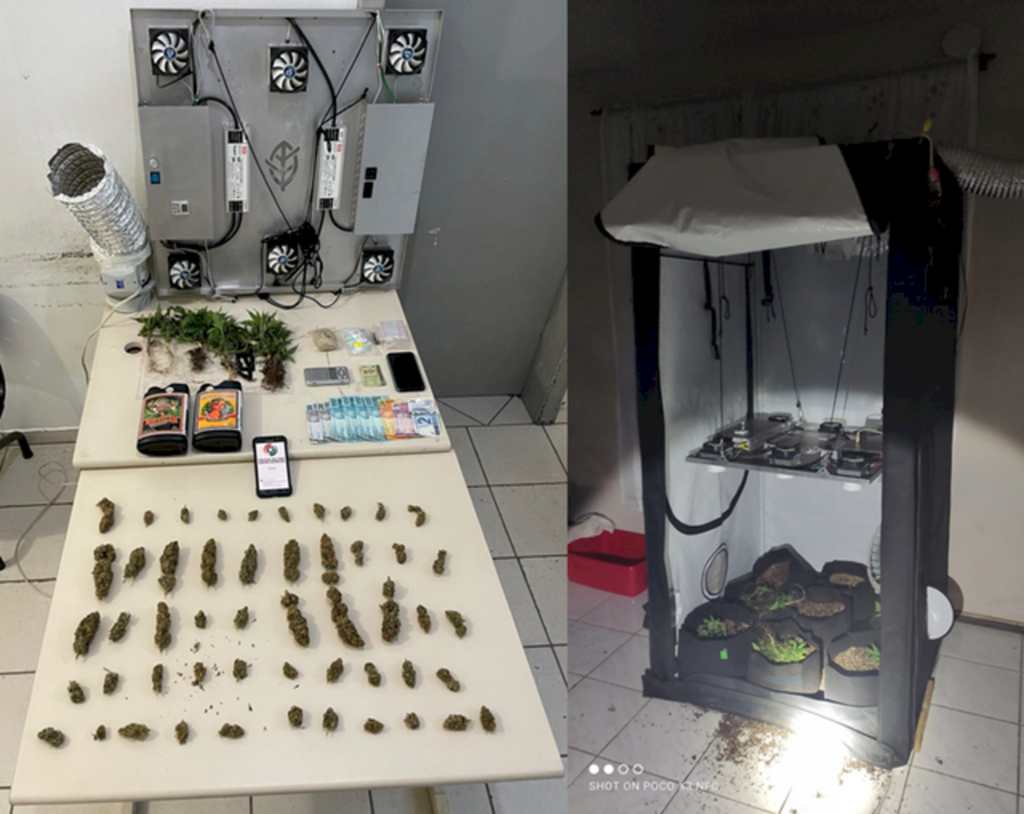 PM apreende estufa com produção de maconha no bairro Santa Catarina