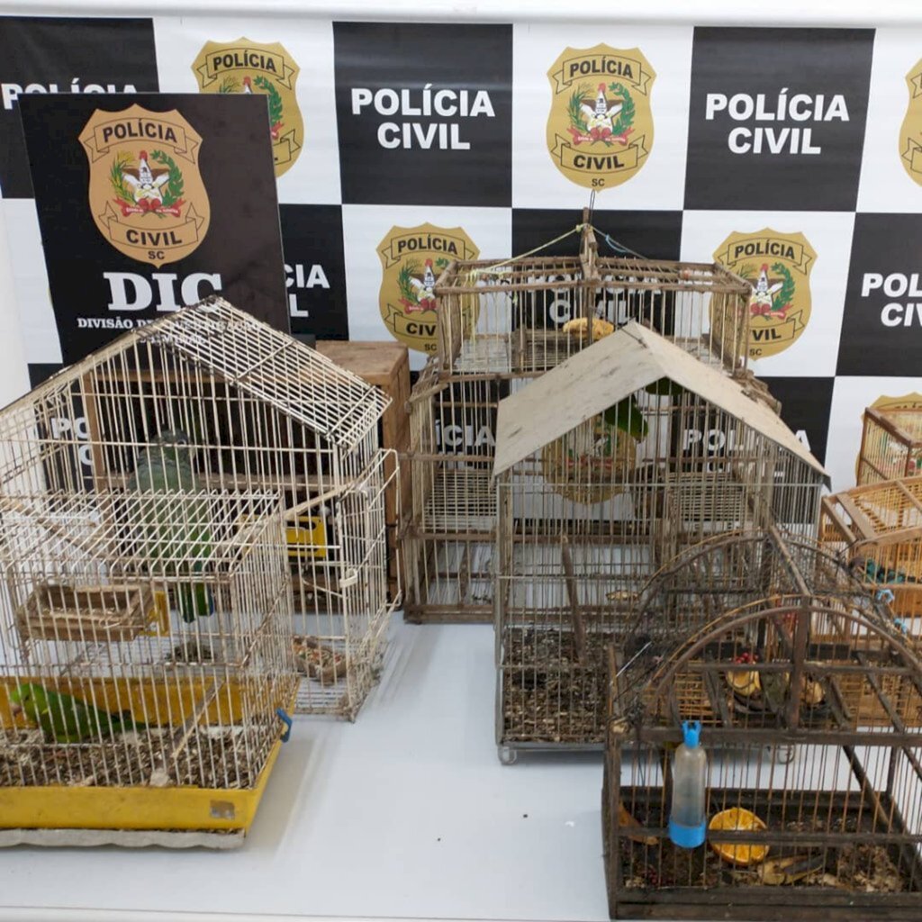 Polícia apreende 12 animais silvestres no Vila Nova