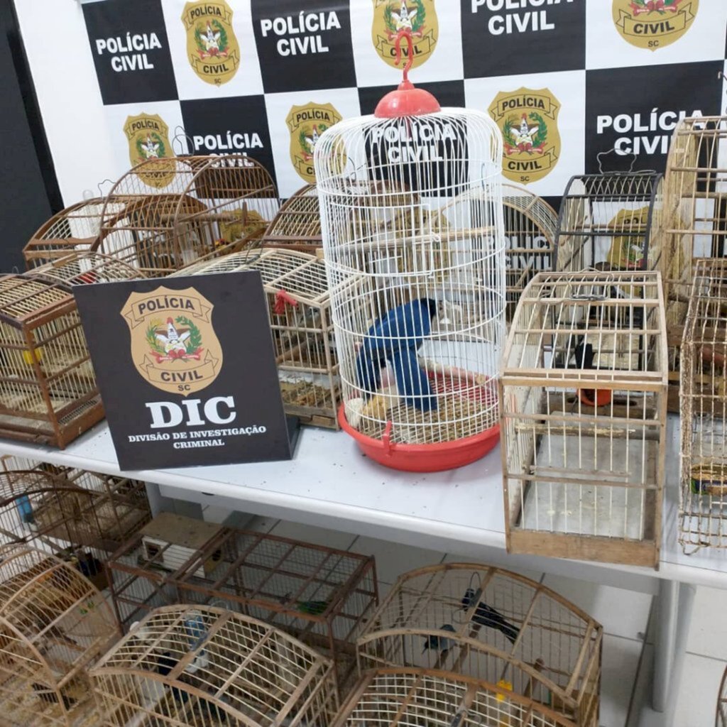 Araquari: Polícia apreende 57 animais silvestres e indicia suspeito