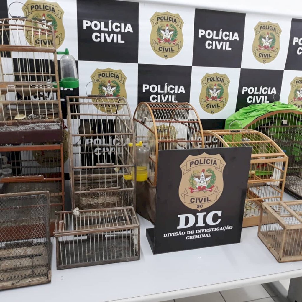 Polícia apreende animais silvestres e indicia suspeito