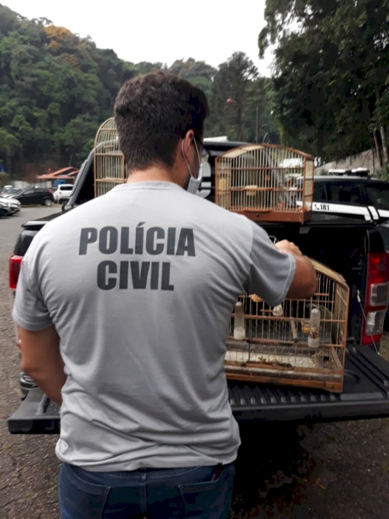 Polícia cumpre mandado e realiza prisão por crime ambiental em Garuva