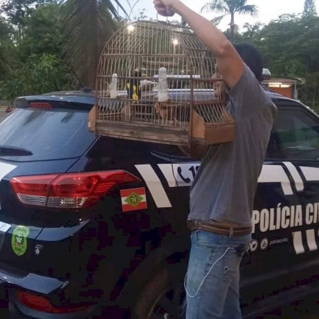 Polícia cumpre mandado no bairro Iririú