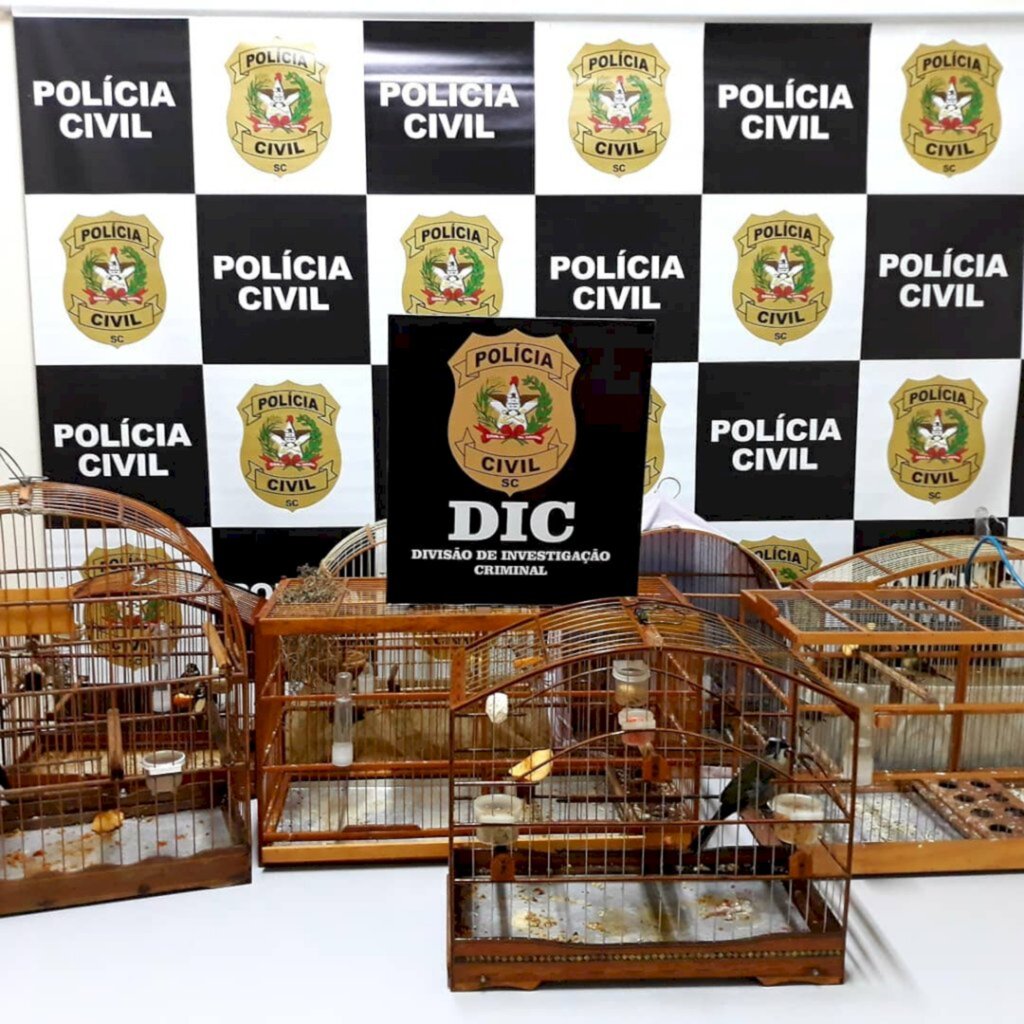 Iririú - Polícia apreende animais silvestres e indicia suspeito