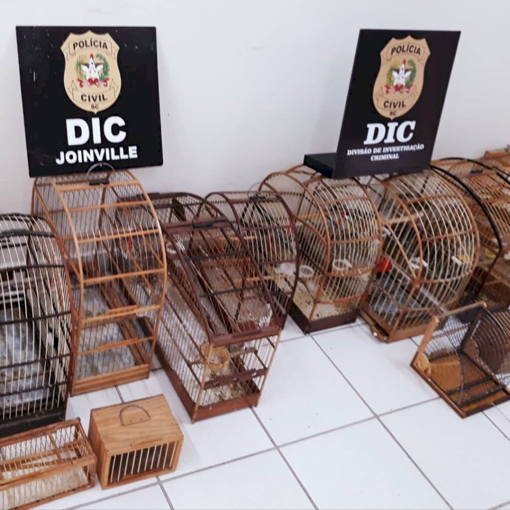 Polícia apreende animais silvestres e indicia suspeito