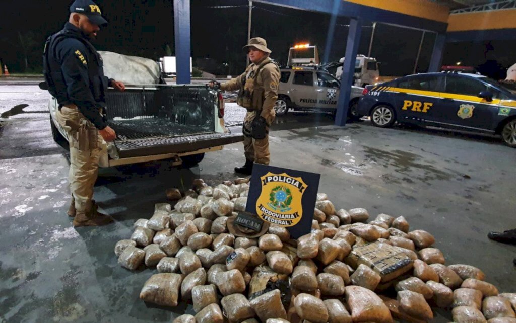 Operação  da PRF e Polícia Militar apreende 126 kg de skunk e 35 kg de maconha na BR 101, em Joinville