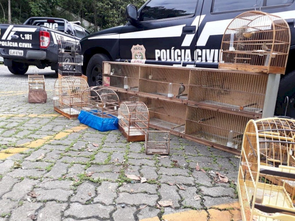 Iririú: Polícia apreende animais silvestres e indicia suspeito