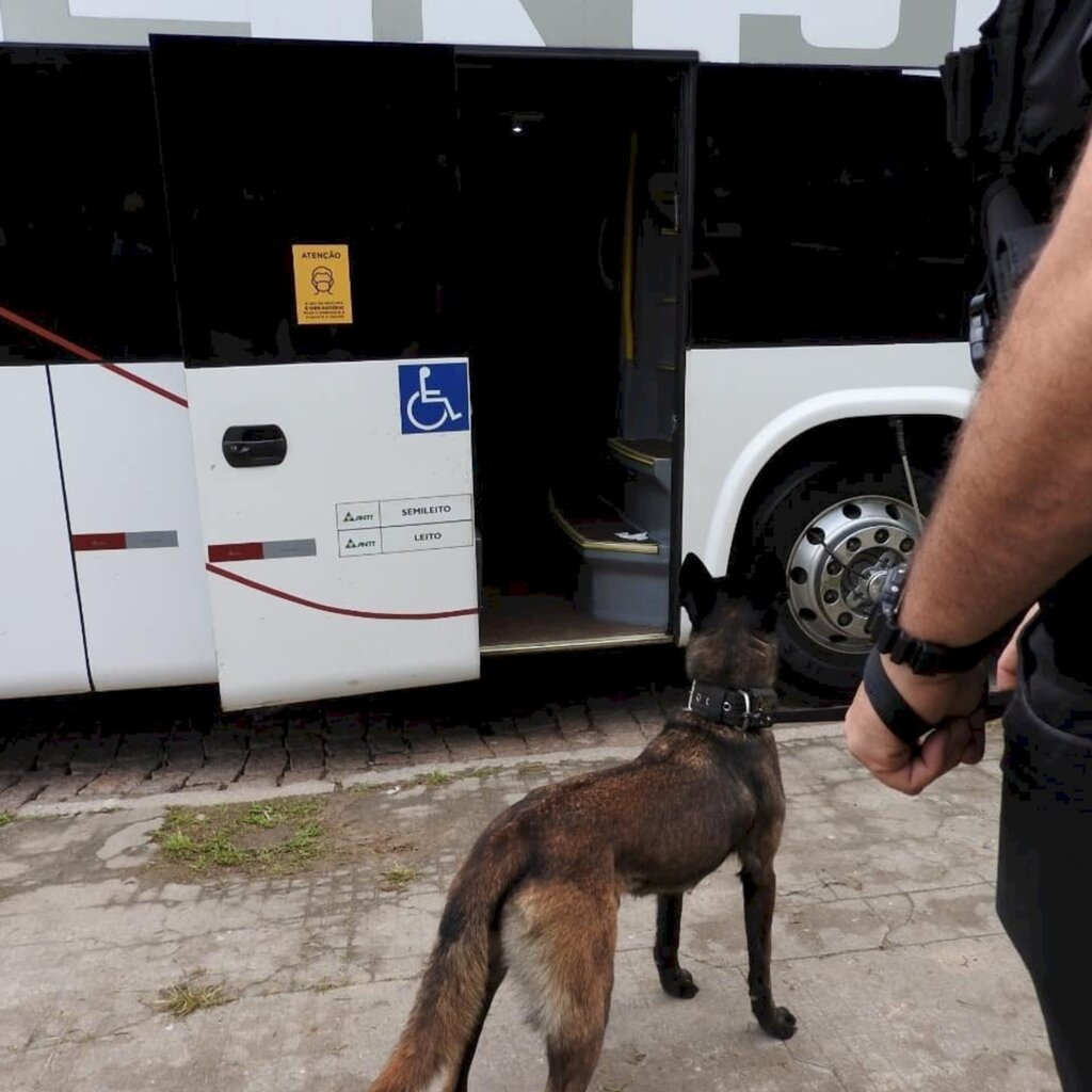 Polícia usa cães farejadores em ação contra o tráfico de drogas em Joinville