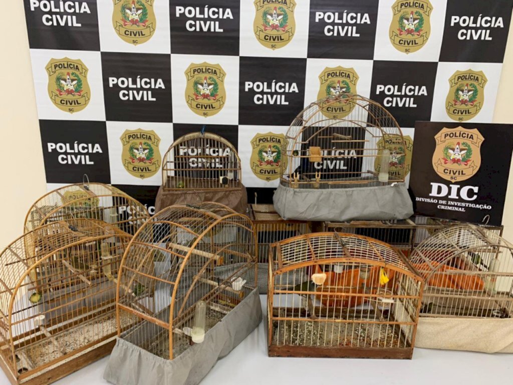 Polícia apreende aves silvestres e prende dois homens