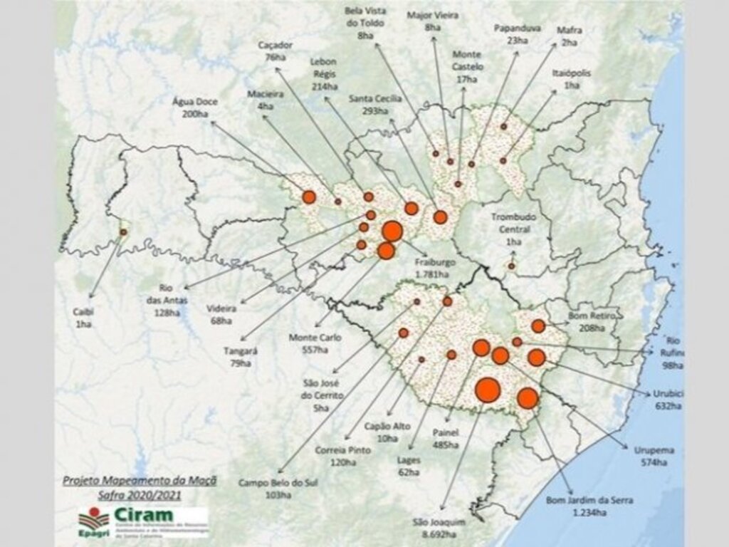 Divulgação/Epagri - 