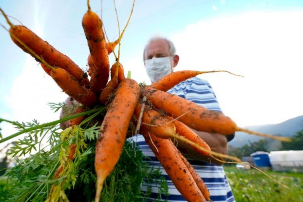 Santa Catarina terá Política Estadual de Agroecologia e Produção Orgânica