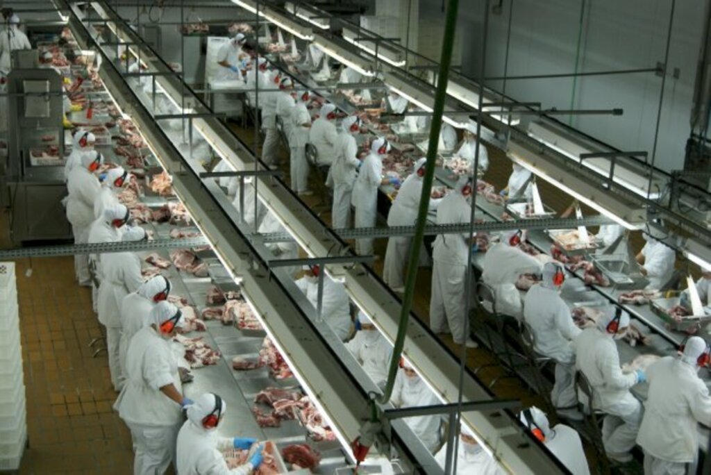 SC retoma crescimento nas exportações de carne de frango em maio