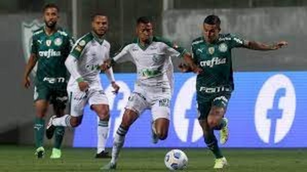 Palmeiras on-line - 