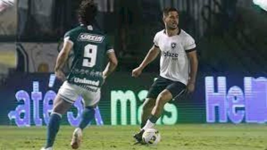 Botafogo vence Goiás e mantém sonho da Libertadores vivo