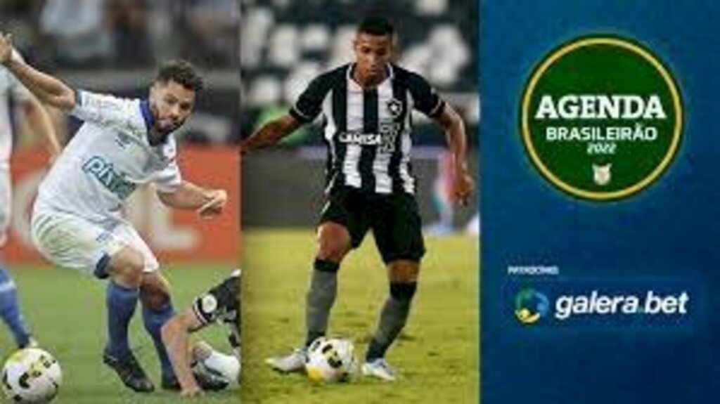 Avaí x Botafogo! Saiba onde assistir ao jogo de segunda-feira do Brasileirão