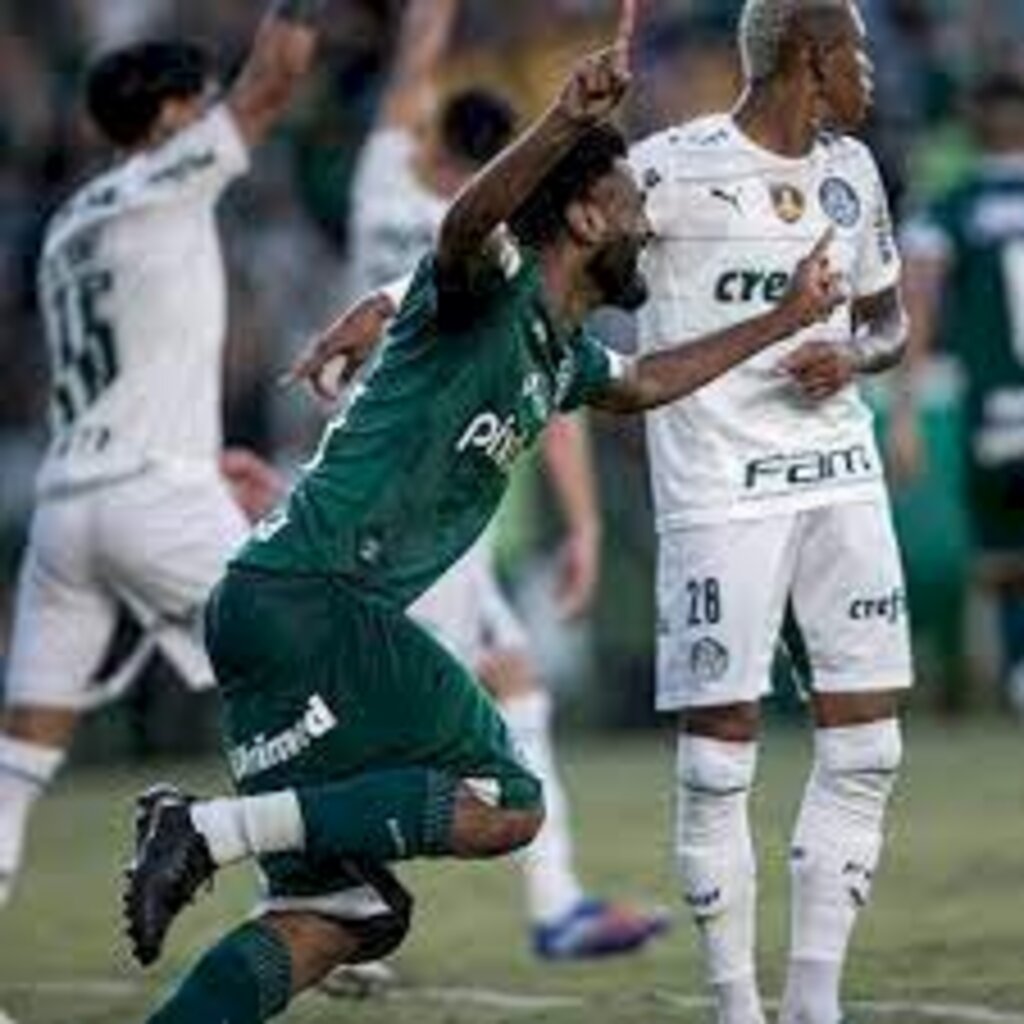 Palmeiras empata com o Goiás