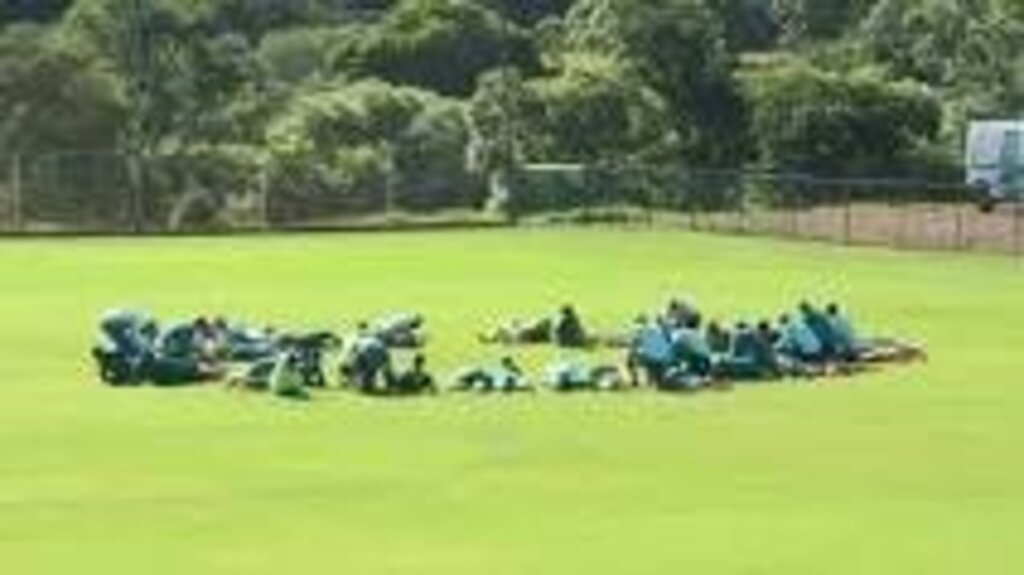 Enxame de abelhas invade treino da Chapecoense