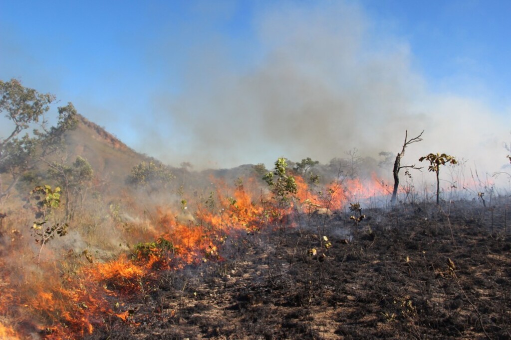 (Foto: Alessandra Fidelis) - Bombeiros passam mais de quatro horas combatendo incêndio em Imbituba