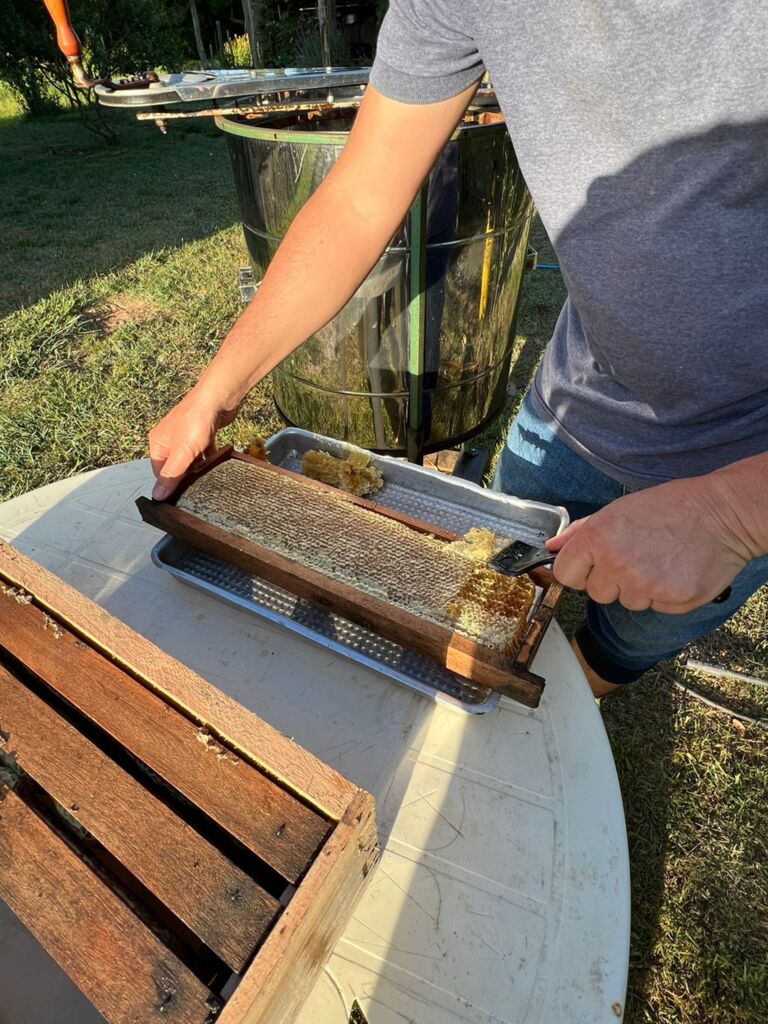 Divulgação - Em Rio Grande, 15 produtores receberão caixas para a exploração da atividade