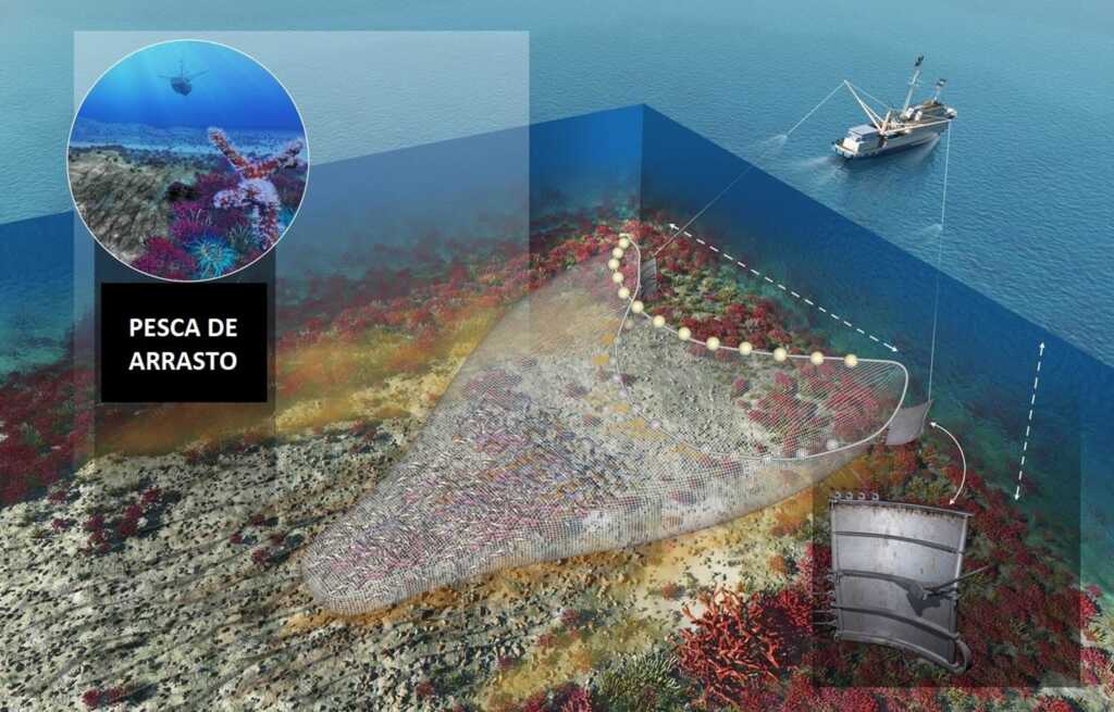 TRF da 4ª Região concorda com a suspensão da pesca de arrasto no RS