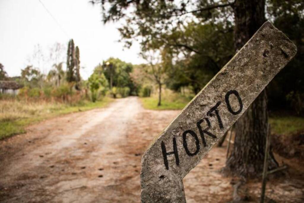 Mudas do Horto Municipal podem ser solicitadas online