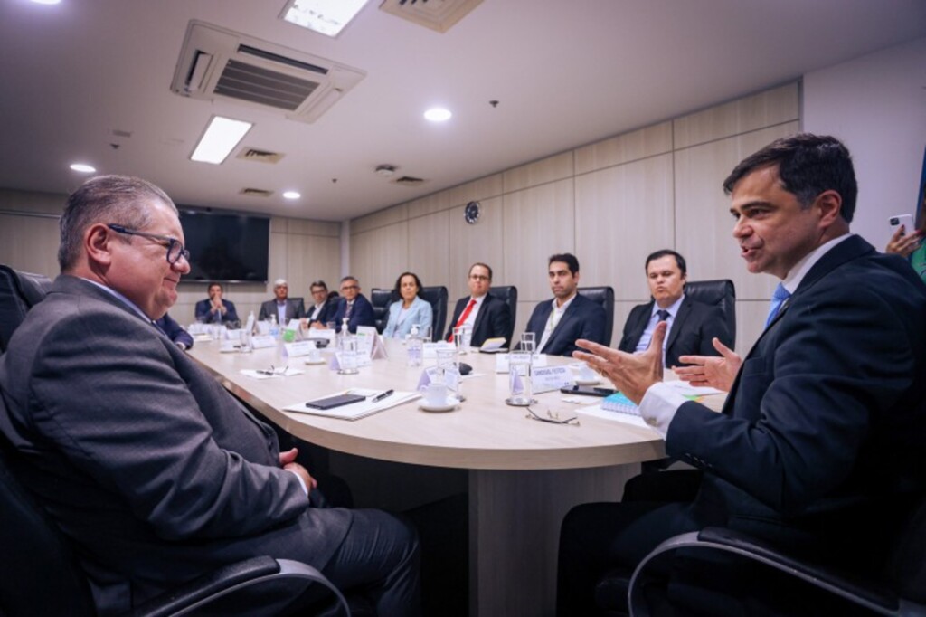 Comitiva gaúcha faz reunião na Aneel por termelétrica de Rio Grande