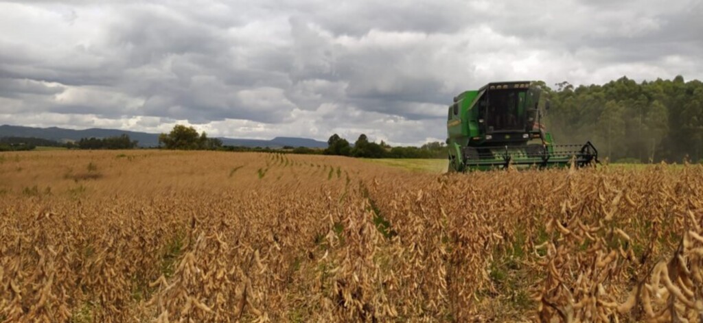 Colheita da soja é retomada e alcança 55% da área cultivada