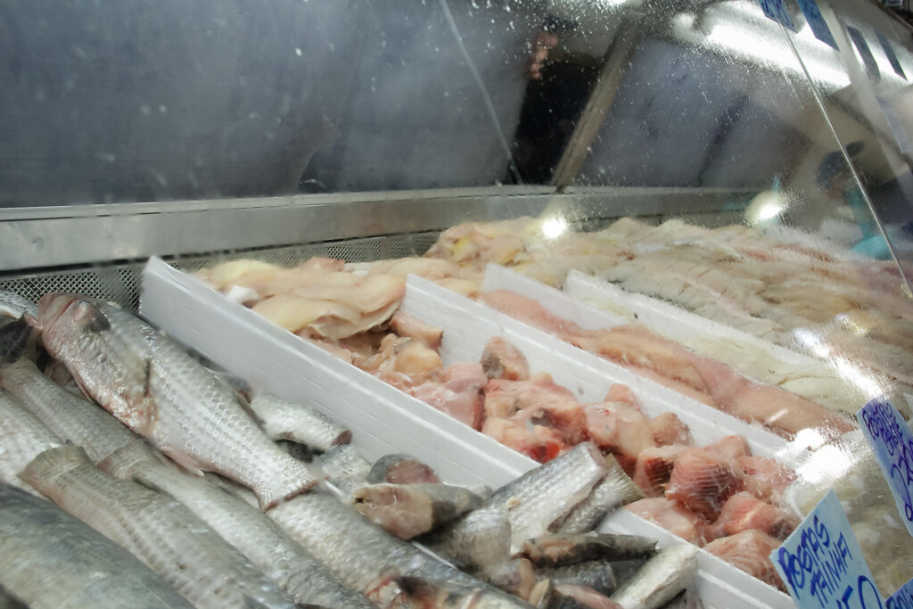 9ª Feira Municipal do Peixe começa nesta segunda-feira