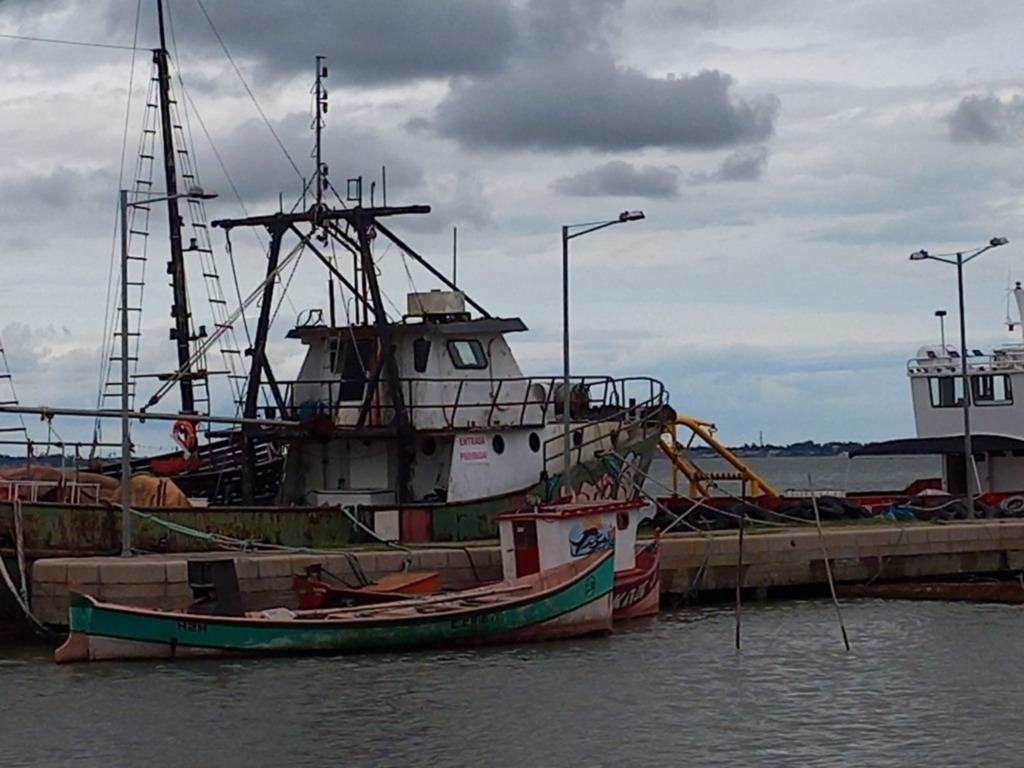 Liberação da pesca de arrasto no RS causa polêmica