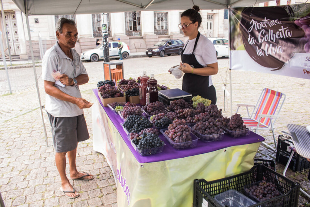 12ª Feira da Uva comercializa mais de 5,4 mil quilos da fruta em Pelotas