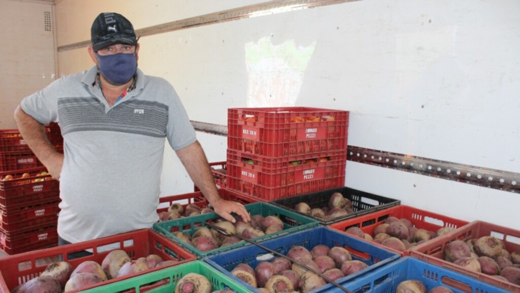 Ceasa adota estratégias para viabilizar colheita