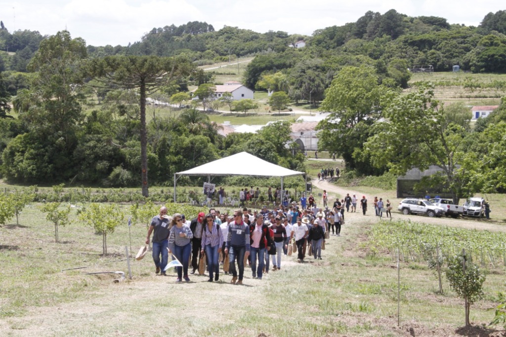 Embrapa Clima Temperado  promove Dia  de Campo