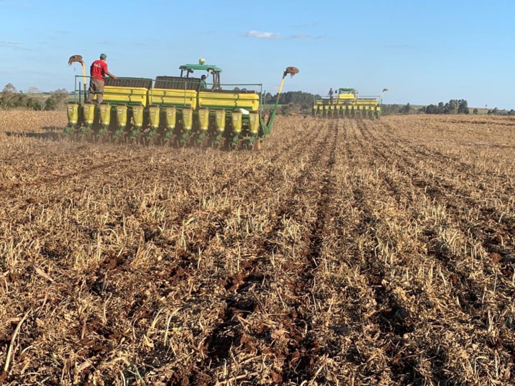 Custos para produção de soja e milho apresentam forte alta