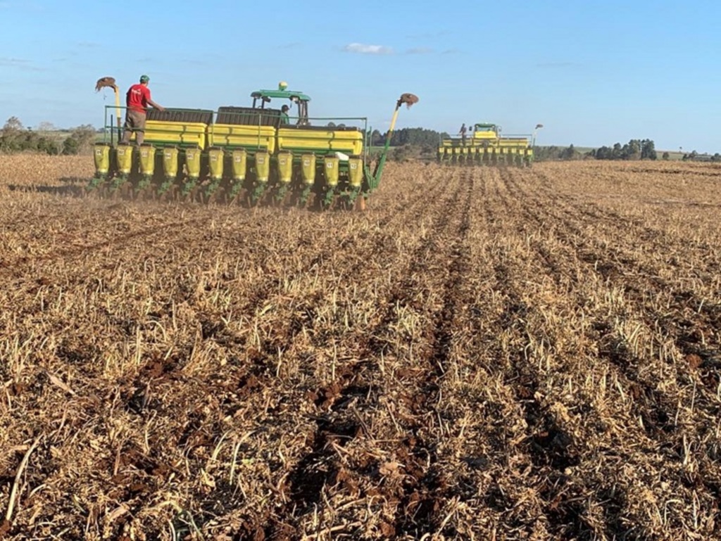 Custos para produção de soja e milho apresentam forte alta