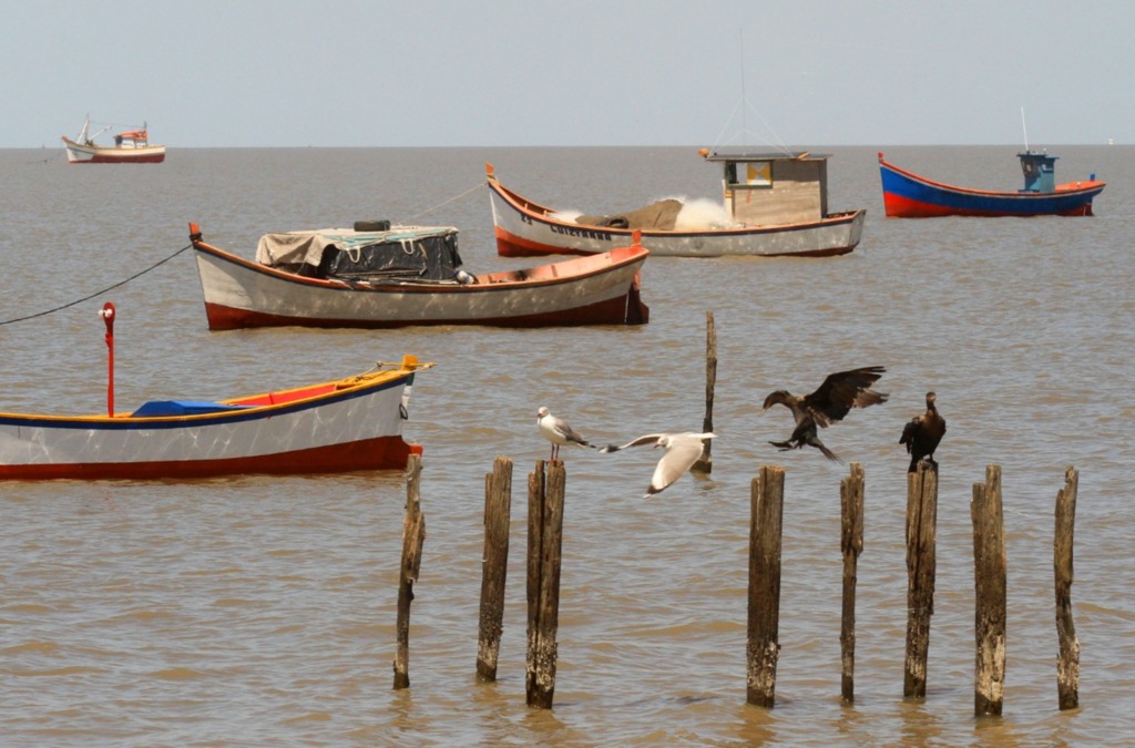 Jô Folha - 