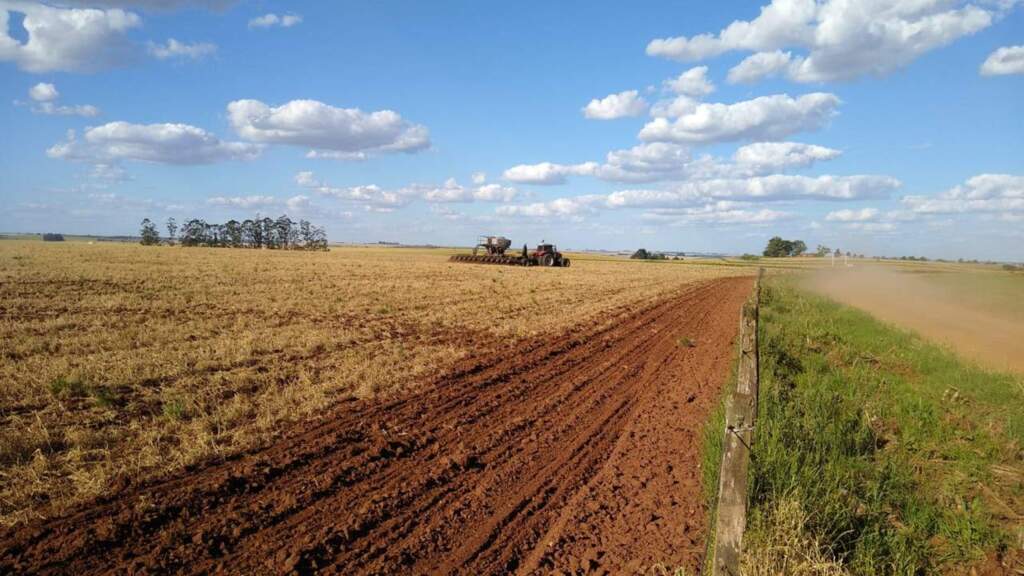 Exportações do agronegócio gaúcho crescem 59,5% no terceiro trimestre de 2021