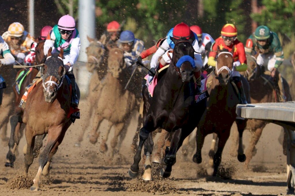 Vencedor da principal prova de corridas de cavalos é pego no doping
