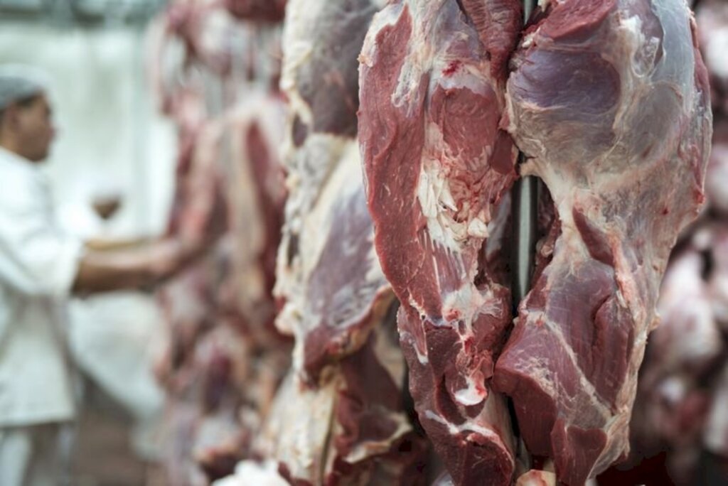 Crescem exportações de carne bovina