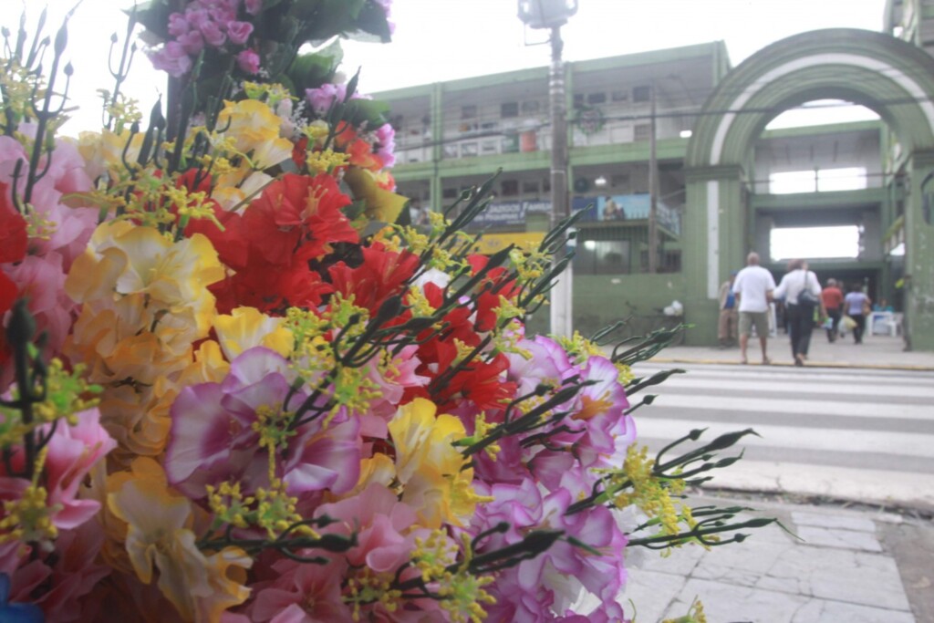 Abertas as inscrições para venda de flores no Dia de Finados