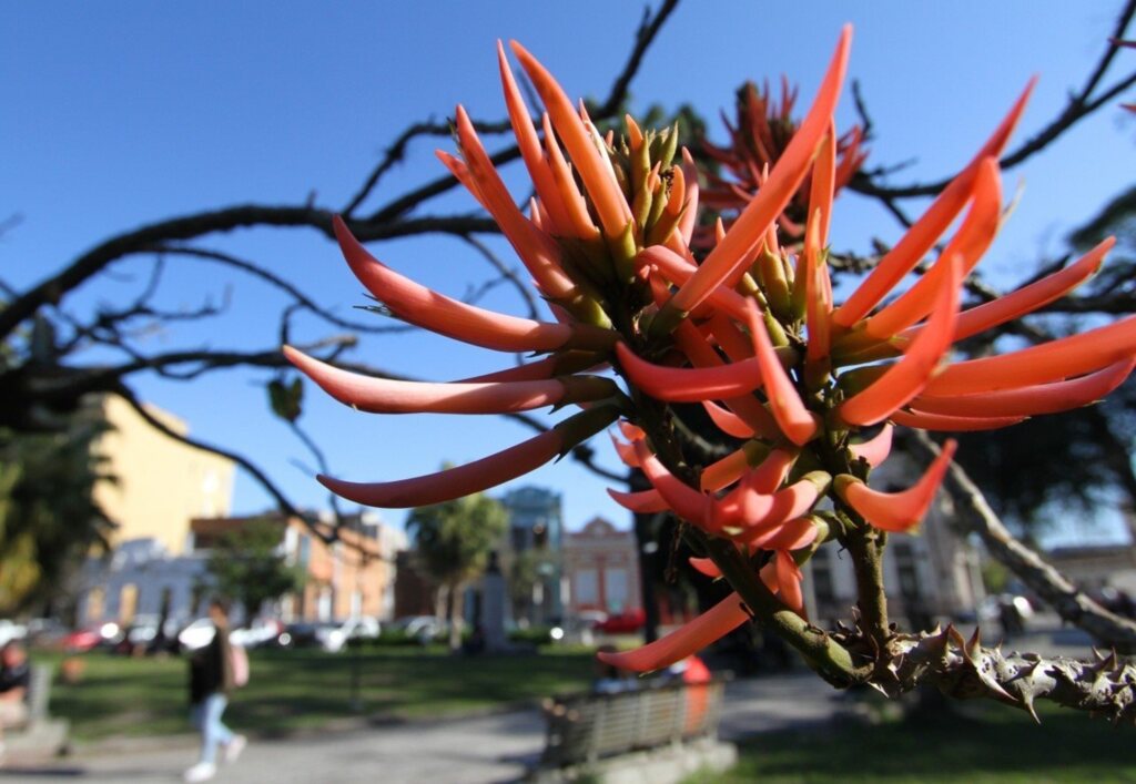 Primavera deve ser marcada pela instalação de um novo episódio de La Niña