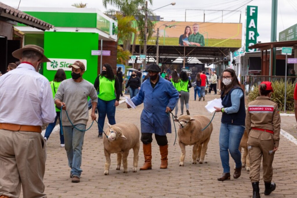Depois de uma edição sem visitantes, Expointer volta a ser presencial