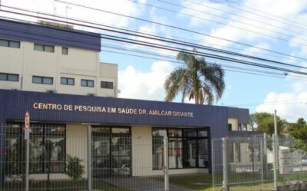 Divulgação - 
