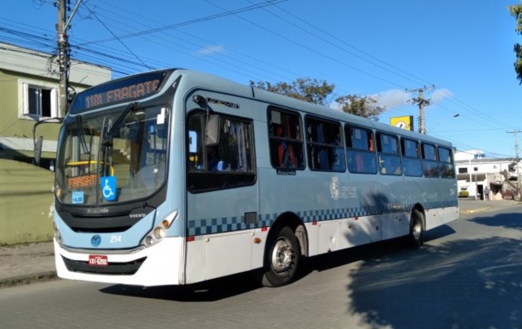 Divulgação - 