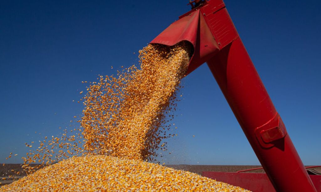 Exportações do agronegócio gaúcho registram alta de 42% no segundo trimestre de 2021