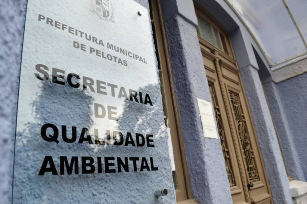 Divulgação - 